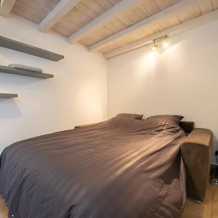 De L'ammonite * ラ・ロシェル