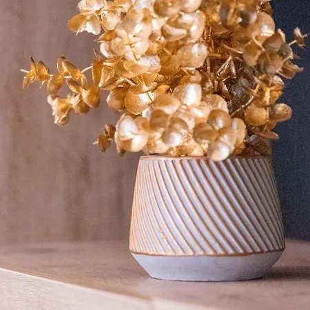 アパート De L'ammonite